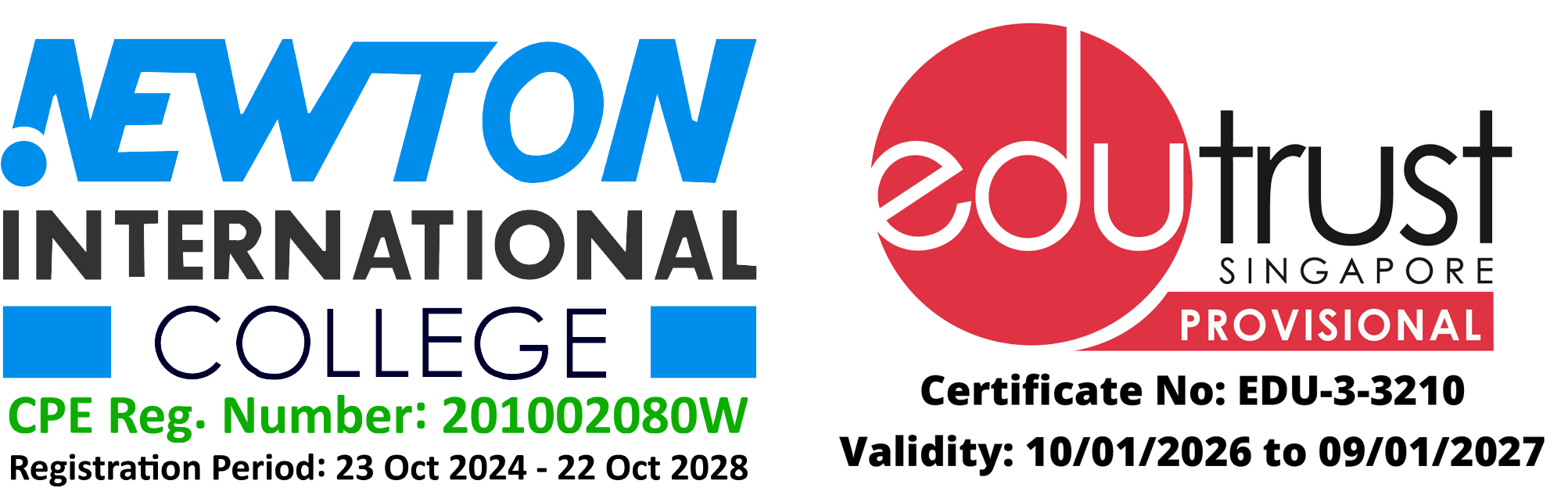 Newton International College